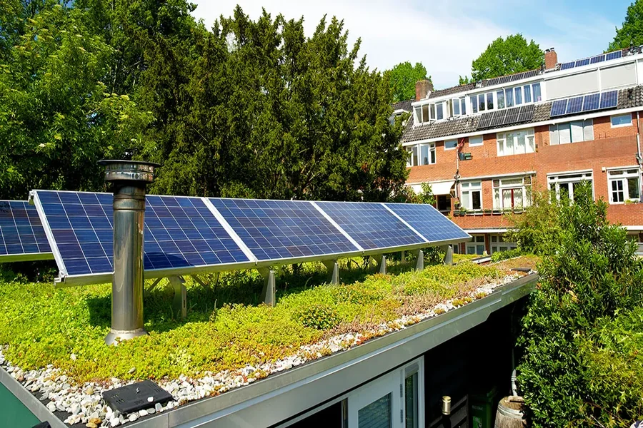 Breathe Life Into Your Building: The Power of Green Roofs The Power of Green Roofs